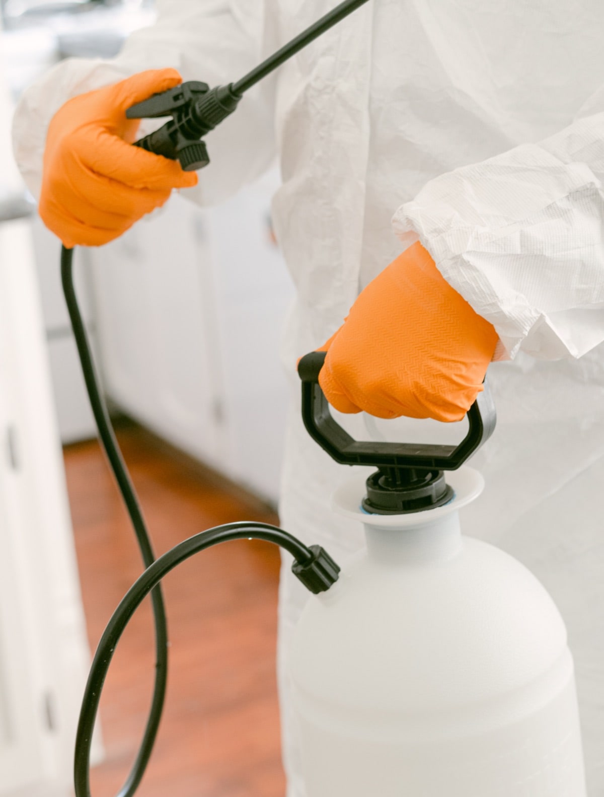 pest-control-28