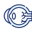 ophthalmologist-24 (7)