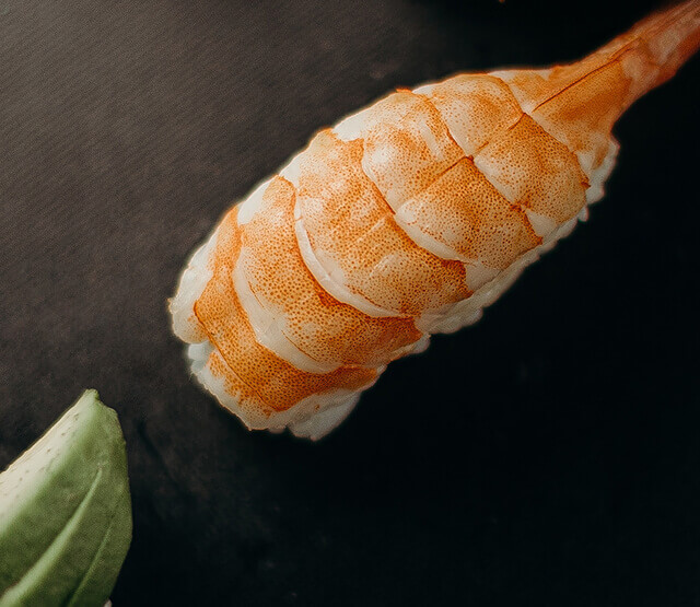 sushi-21 (1)
